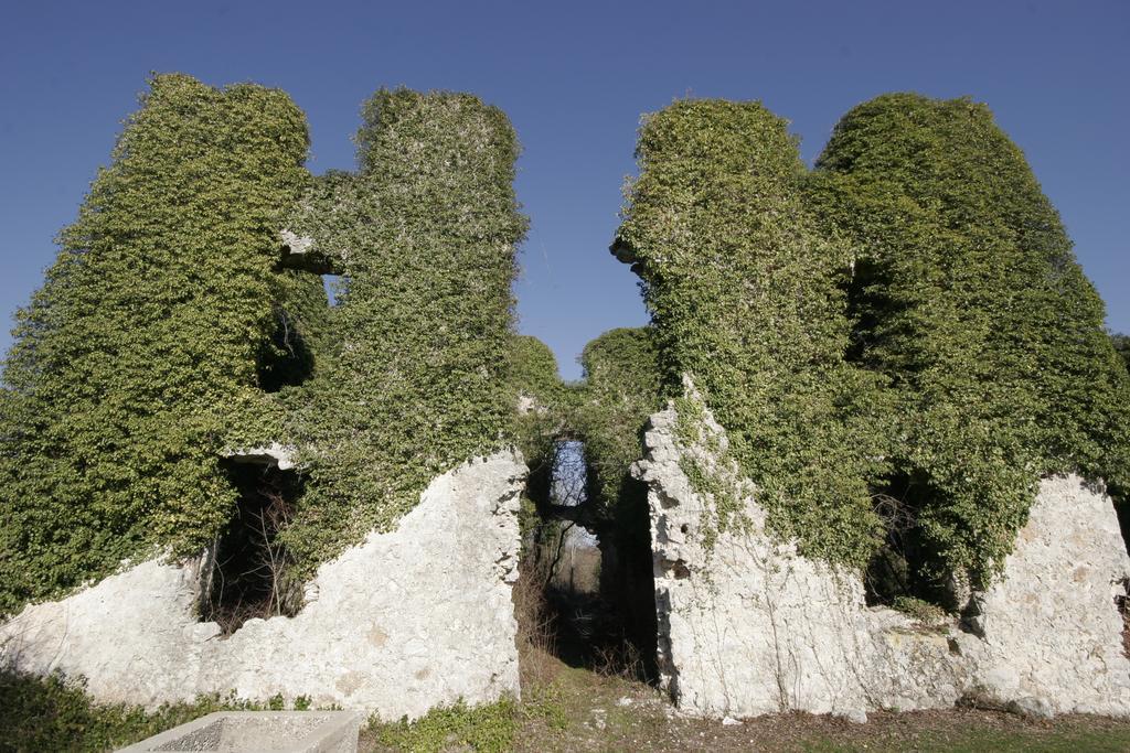 Apartmán Salatic