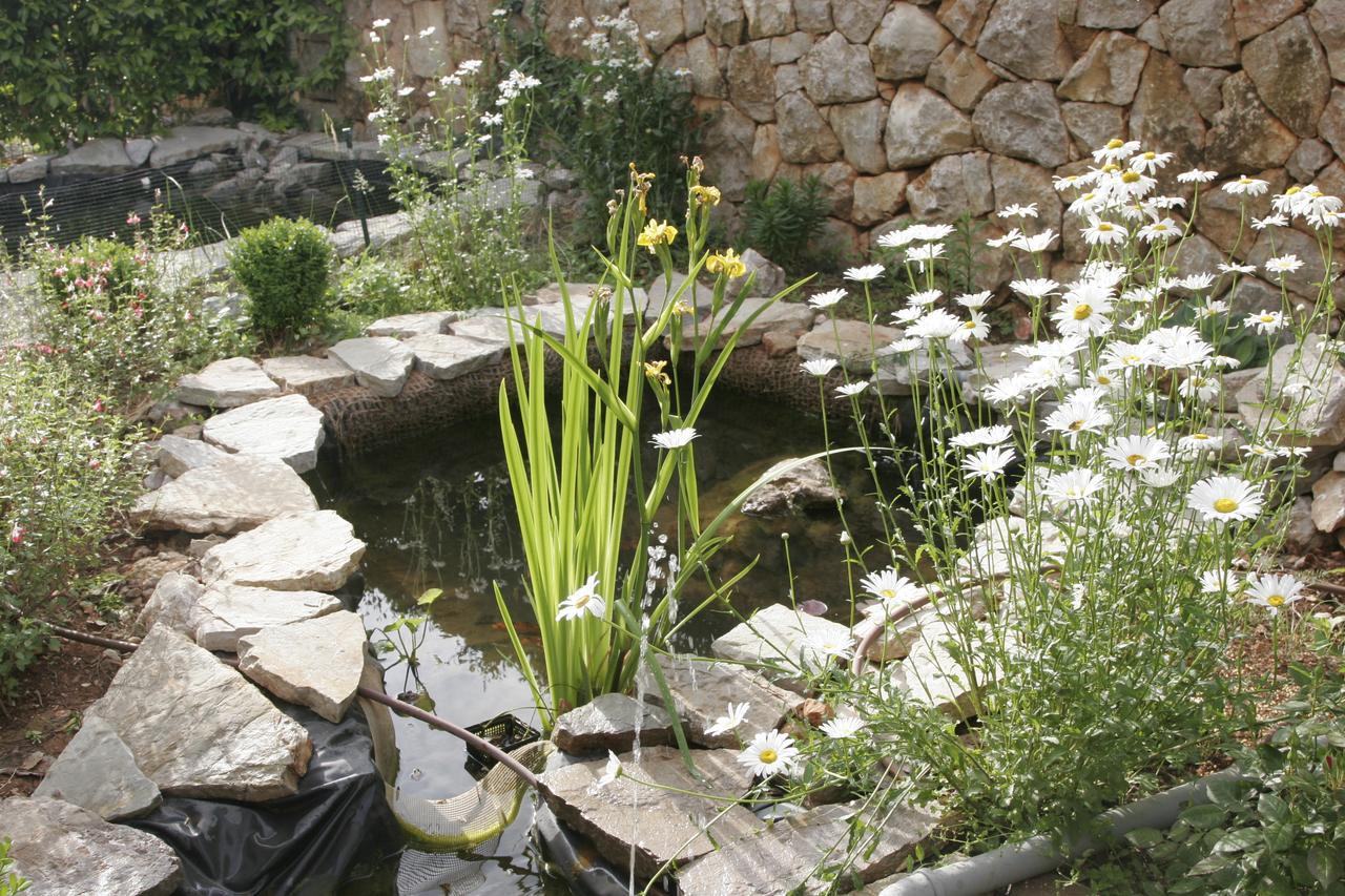 Salatic Apartmán *