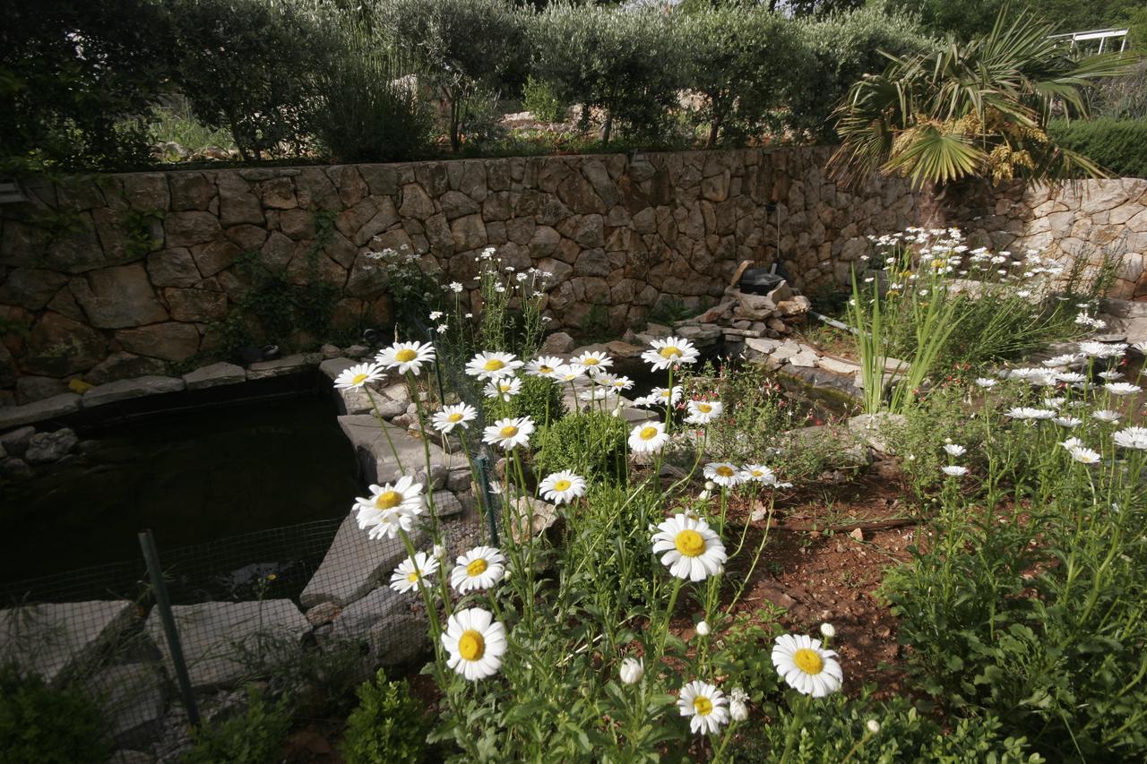 Salatic Apartmán *