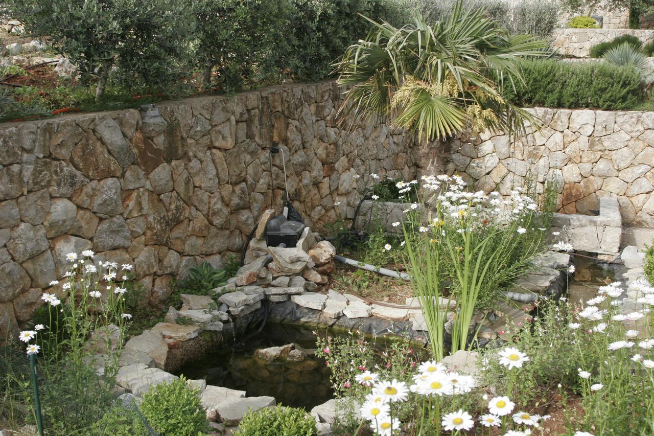 Apartment Salatic