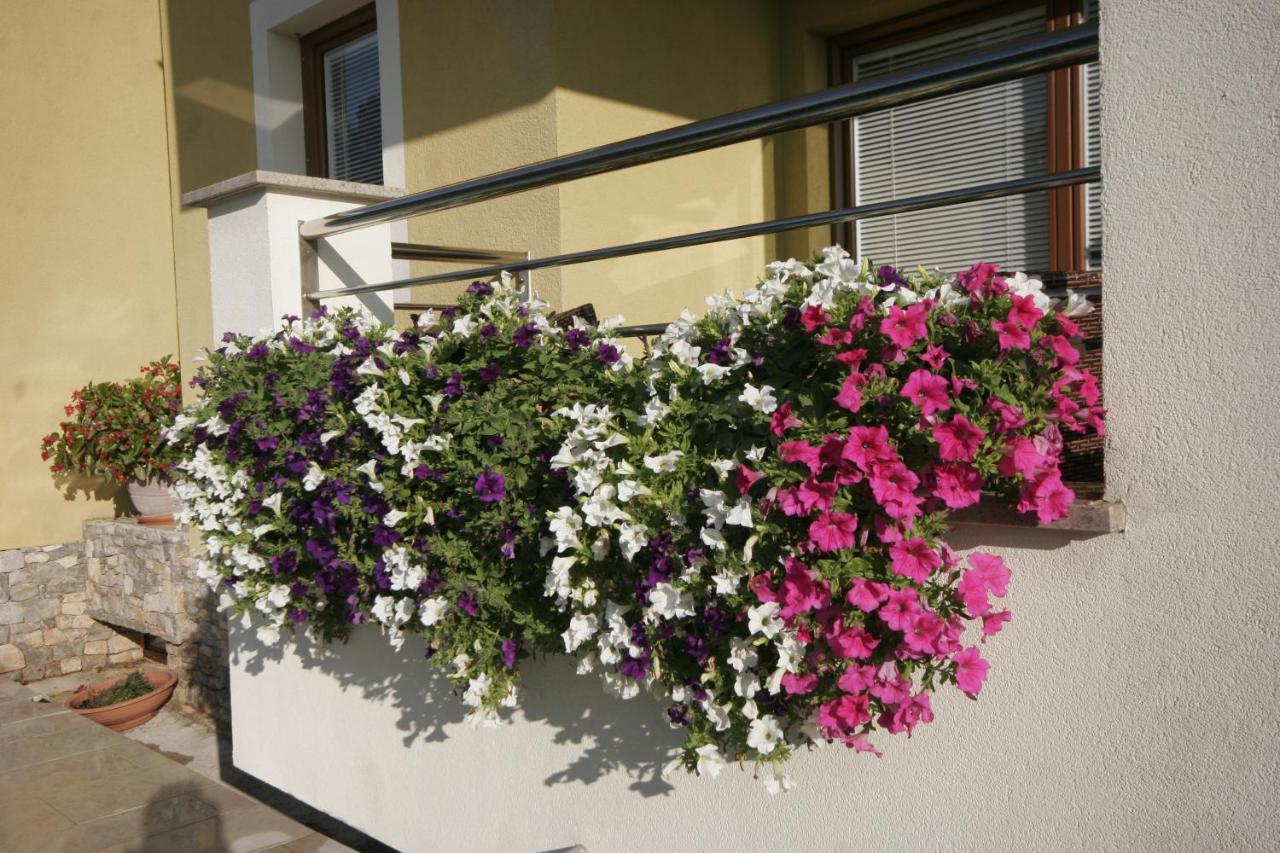 Salatic Apartment *