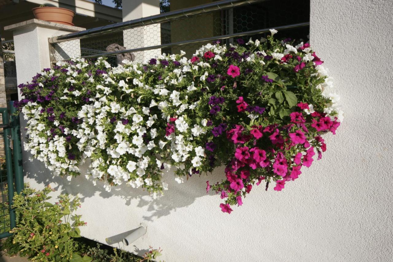 Apartment Salatic Krk Town